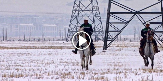 Kaçak elektriğe karşı 'at'lı önlem