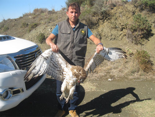 Kaçak yılan kartalı avına 10 bin lira ceza