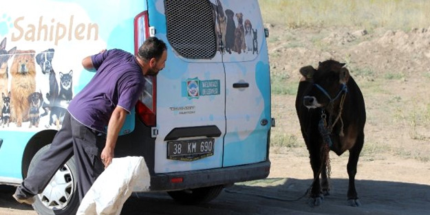 Kaçan kurbanlığa 