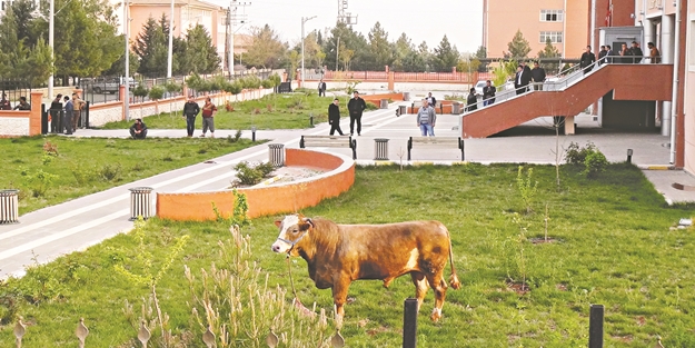 Kaçtı ama kurtulamadı