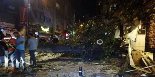 Kadıköy'de kafenin üzerine ağaç devrildi!