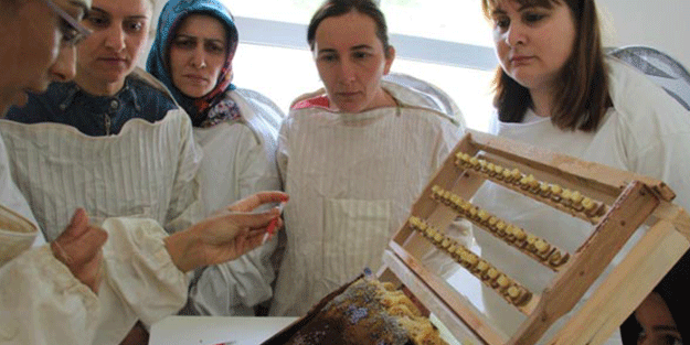 Kadın arıcılar kilosunu 10 bin TL'den satacak