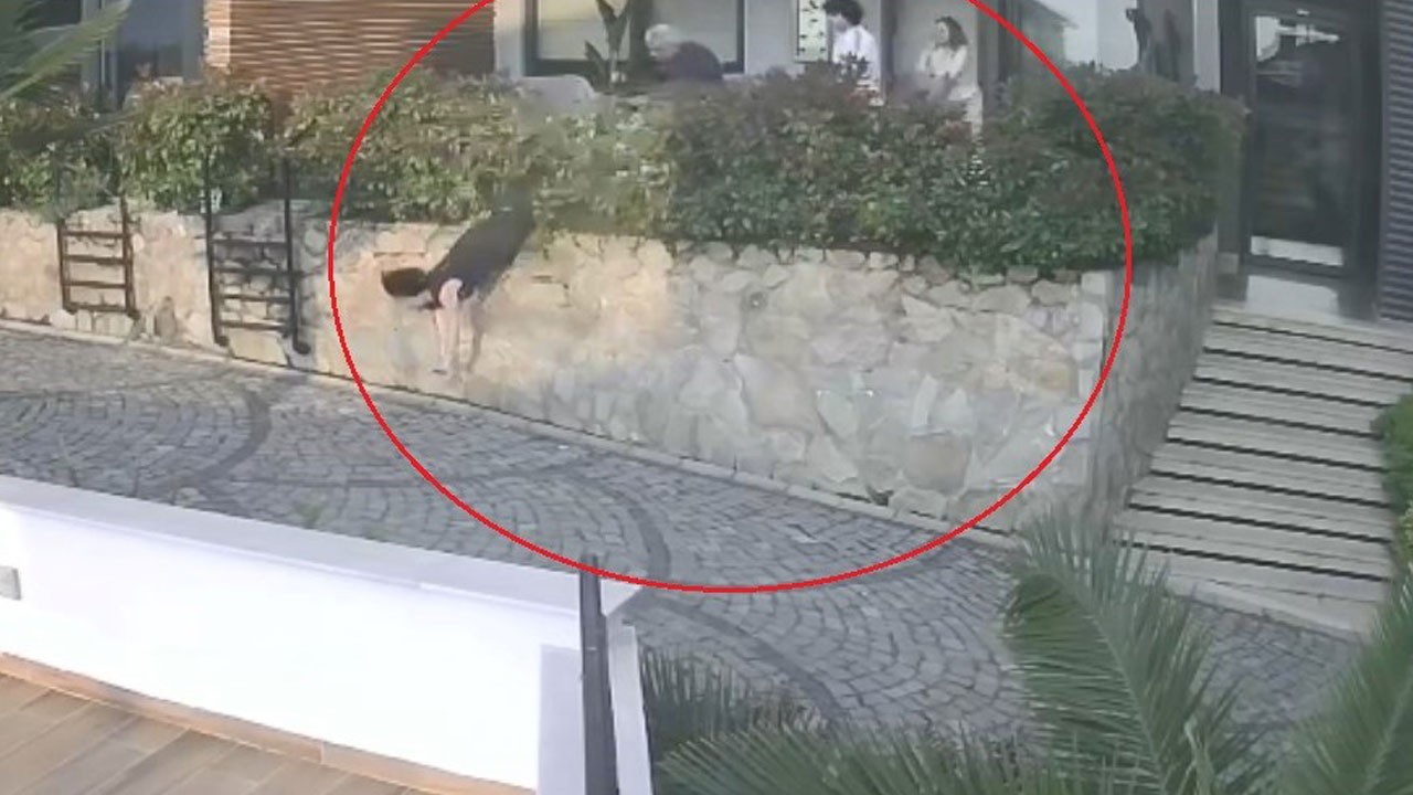 Kadın beton zemine çakıldı! Doktorun iteklediği kadın 1,5 metreden düştü