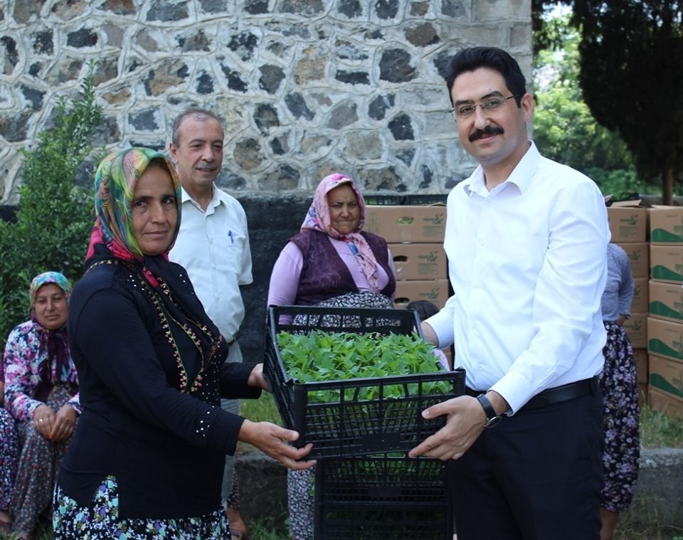 Kadın çiftçilere biber fidesi dağıtıldı 