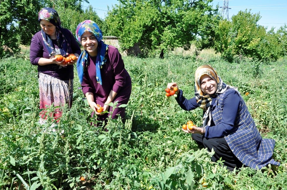 Kadın girişimciler, kurdukları kooperatifle siparişlere yetişemiyor 