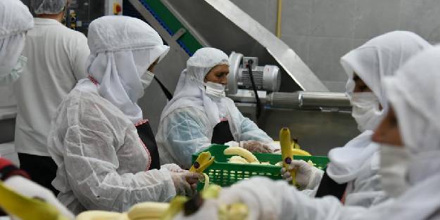 Kadın istihdamını destekleyici bir proje