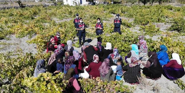 Kadın jandarmalar önce eğitim verdi sonra üzüm hasadı yaptı