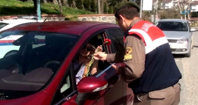 Kadın sürücülere karanfilli jest