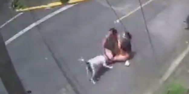 Kadını pitbullun ağzından kurtardı! İnanılmaz yöntem