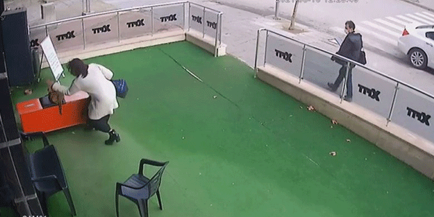 Kadının hamile kediye yaptıkları pes dedirtti!