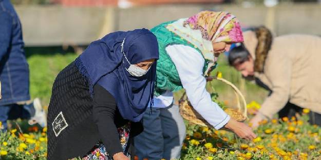 Kadınlar aynısefa ile yurt dışına açıldı