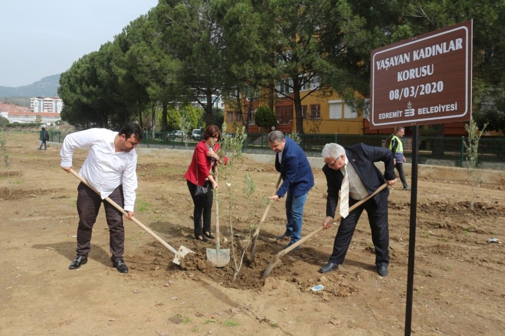Kadınlar gününe zeytin fidanlı destek 