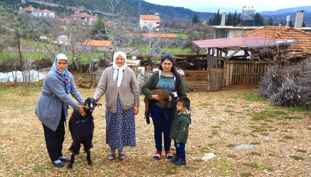 Kadınlara kıl keçisi desteklemesi meyvesini veriyor 