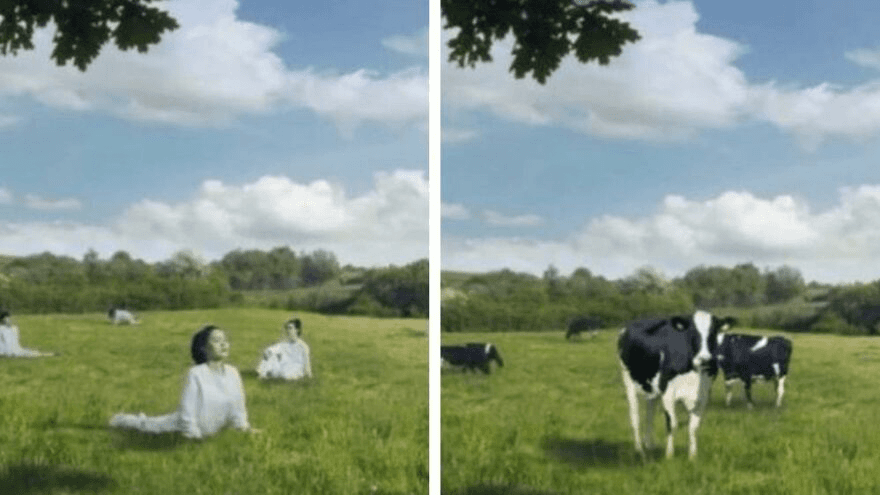 Kadınları ‘inek’ gibi gösteren o reklam olay oldu