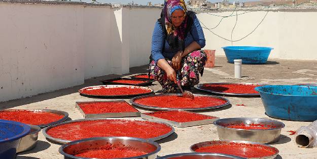 Kadınların salça telaşı