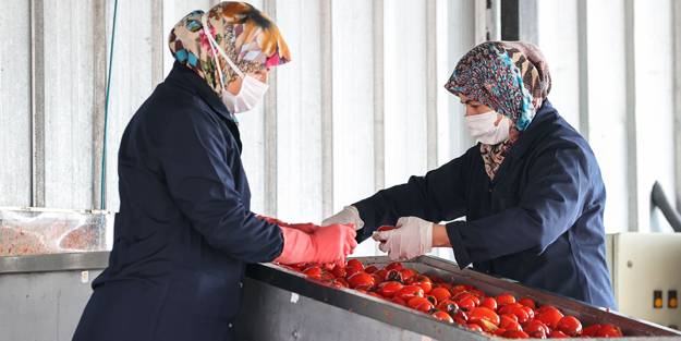 Kadınların yaptığı salçalar Avrupa yolunda
