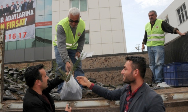 Kadirli'de 10 bin fidan dağıtıldı