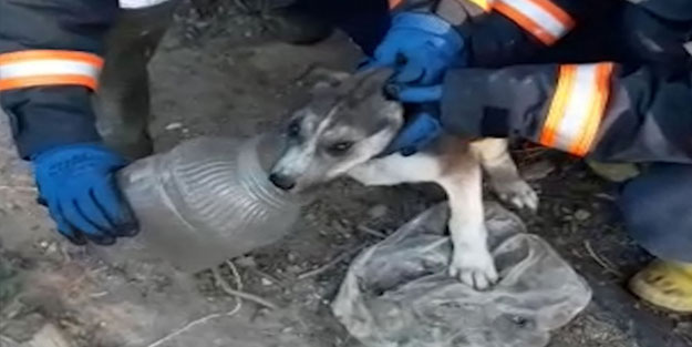 Kafası bidona sıkıştı! İtfaiye seferber oldu