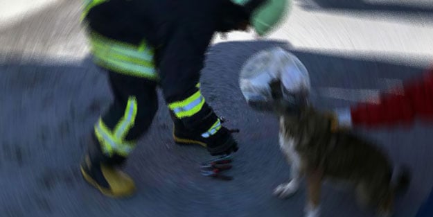 Kafasına plastik boru sıkışan köpek yavrusu kurtarıldı