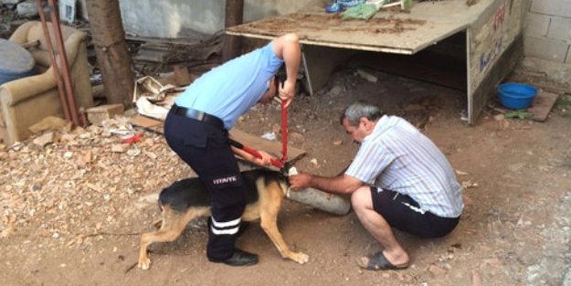 Tuvalet borusuyla oyunun sonu kötü oldu