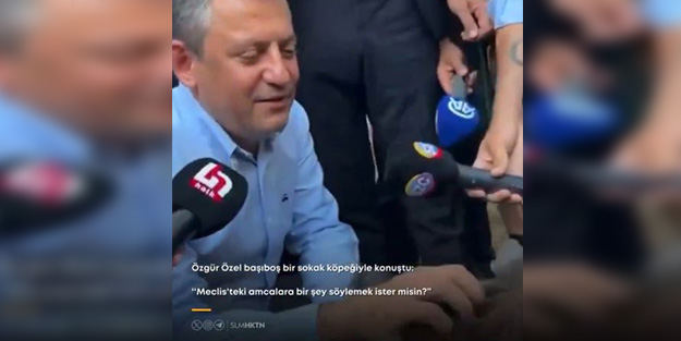 Kafayı iyice sıyırdılar! CHP'li Özel sokak köpeğiyle dertleşti