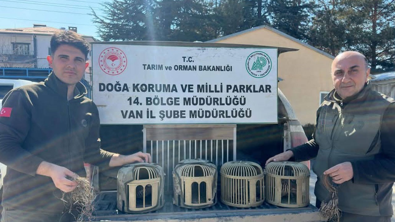 Kafes avcılığına rekor ceza!