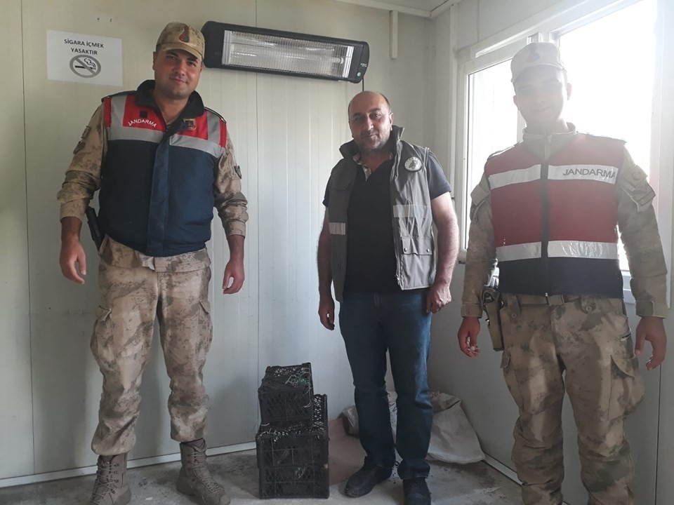 Kafes avcısı jandarmaya takıldı 