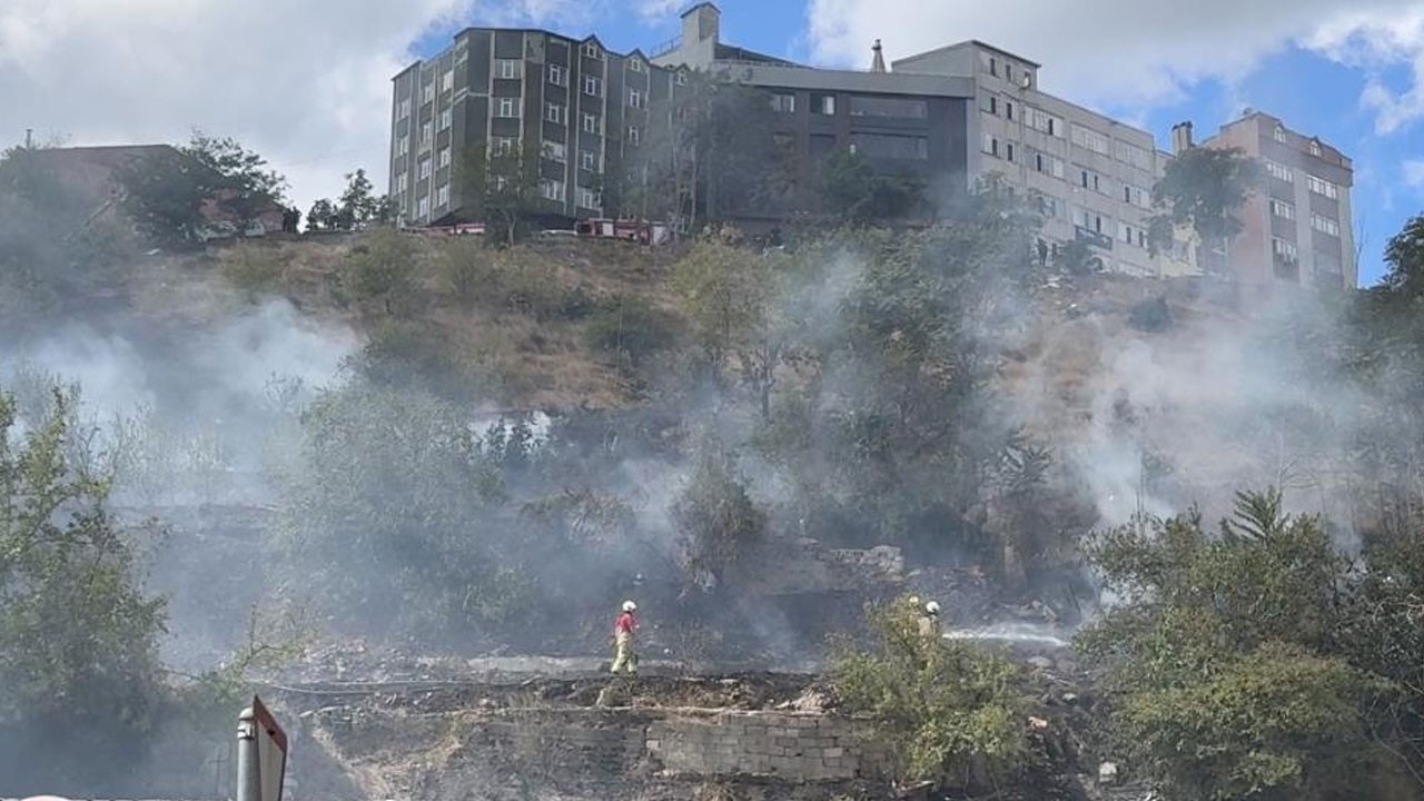 Kağıthane’de ağaçlık alan kül oldu