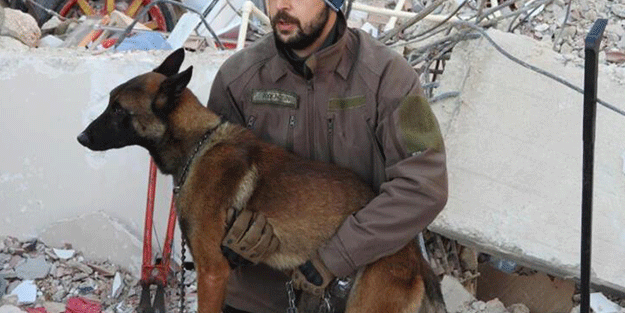 Kahraman köpek 15 can kurtardı!