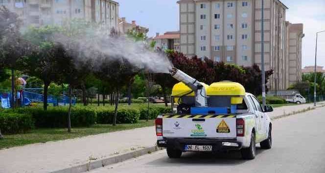 Kahramankazan'da haşere avcıları mesaiye başladı