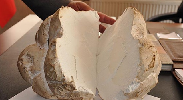 Kahramanmaraş'ta 2,5 kilo ağırlığındaki mantar şaşırttı