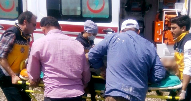 Kahramanmaraş’ta at sahibini üzerinden atarak ölümüne neden oldu