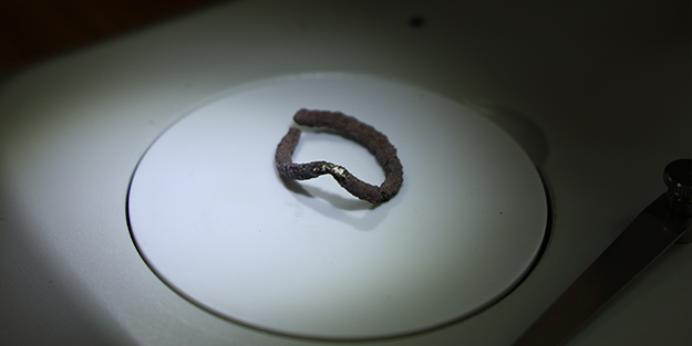 Kahramanmaraş'ta heyecanlandıran keşif! Tam 7 bin 600 yıl öncesine ait gümüş bulundu