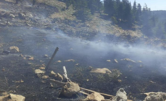 Kahramanmaraş'ta iki farklı yangın