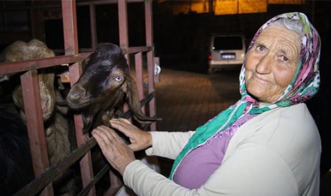 Kahramanmaraş’ta keçilerini görünce sevinçten ağladı