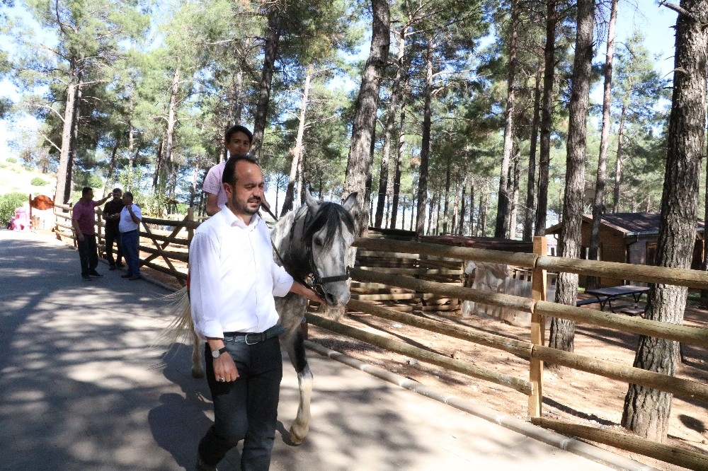 Kahramanmaraş’ta mini hayvanat parkı 