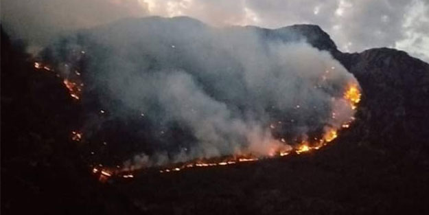 Kahramanmaraş'ta orman yangını! 10 hektar alan etkilendi