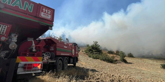 Kahramanmaraş'ta orman yangını: Müdahale devam ediyor