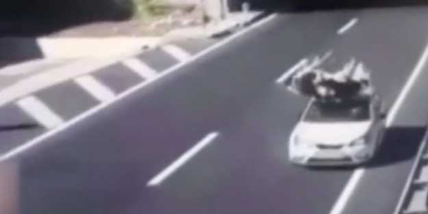 Otomobilin çarptığı inek havada savruldu!