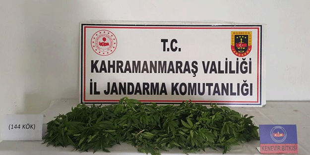 Kahramanmaraş'ta uyuşturucu operasyonunda bir kişi gözaltına alındı
