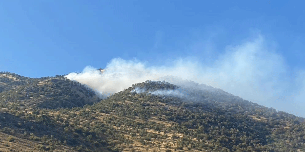 Kahramanmaraş’tan güzel haber