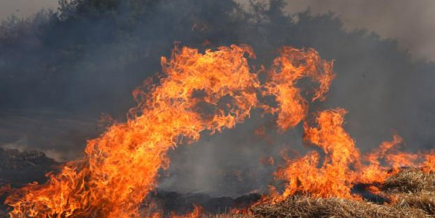 Kahreden görüntü! taraftarların havai fişekli kutlamasında yangın çıktı; 5 gözaltı