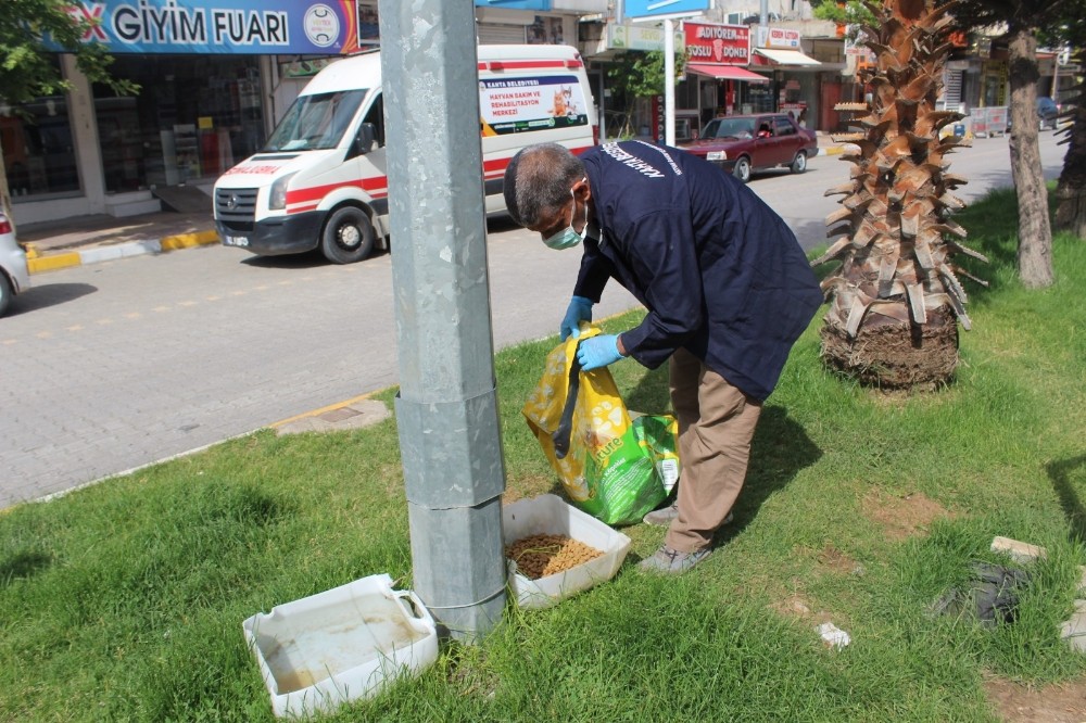 Kahta Belediyesi sokak hayvanlarını unutmadı 