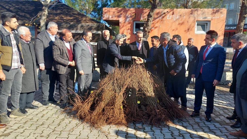 Kahtalı çiftçilere 10 bin nar fidanı dağıtıldı