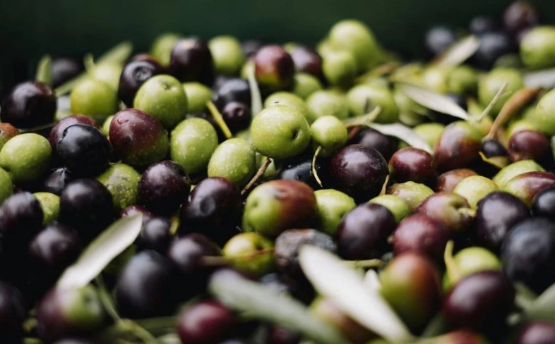 Kahvaltıda en çok o tercih ediliyor! Zeytin yemeden önce bilmeniz gerekenler