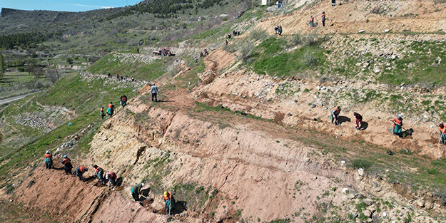 Kahveci Dağı eteklerine 2 bin sedir fidanı dikiliyor