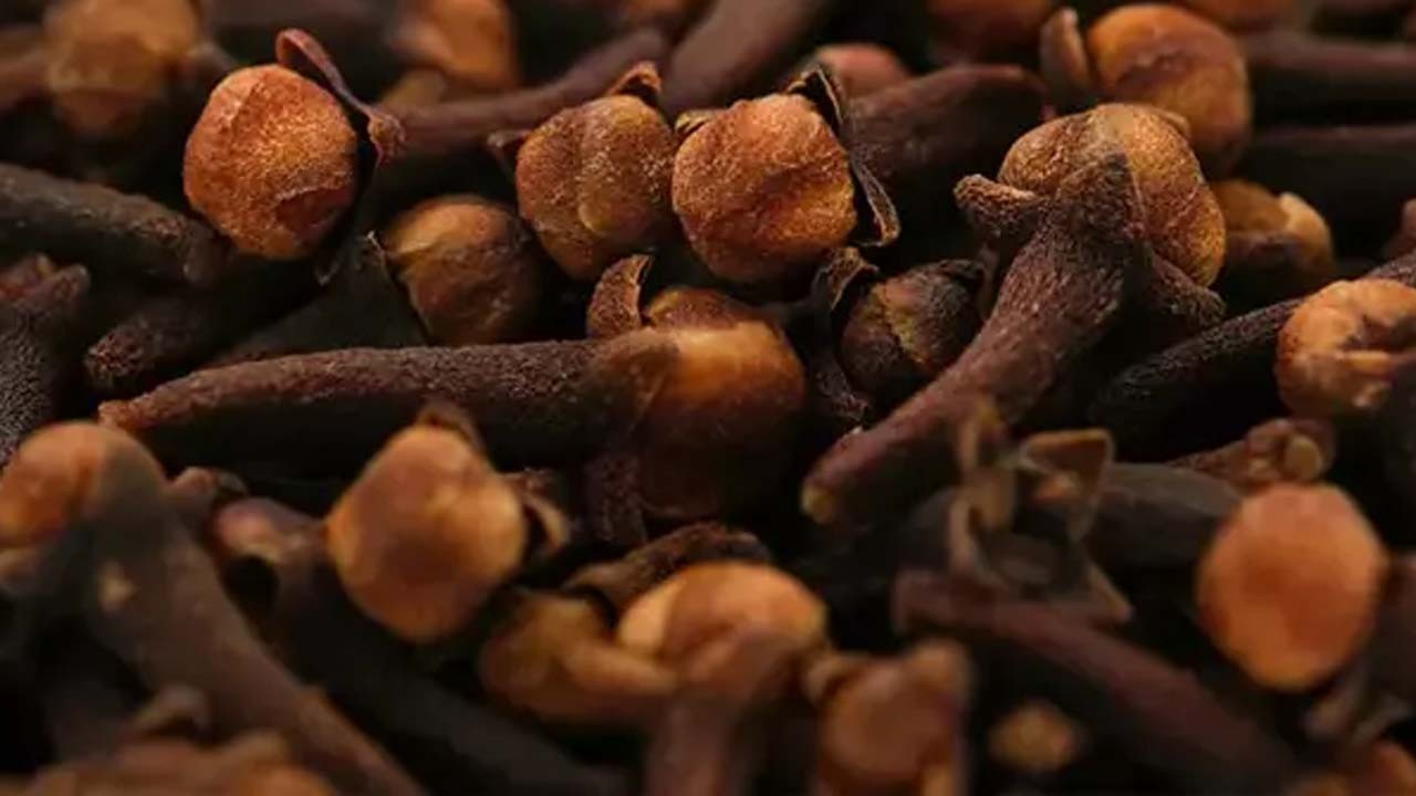 Kahvenin içine 1 tane ekleyin! Kahve bayatlamıyor, acı değil taptaze kalmasını sağlıyor