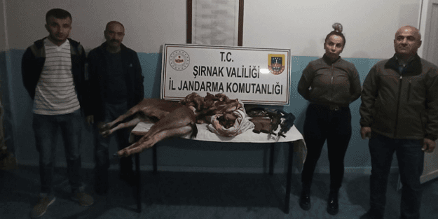 Kalaşnikofla yaban keçisi avlamışlar! 185 bin TL para cezası