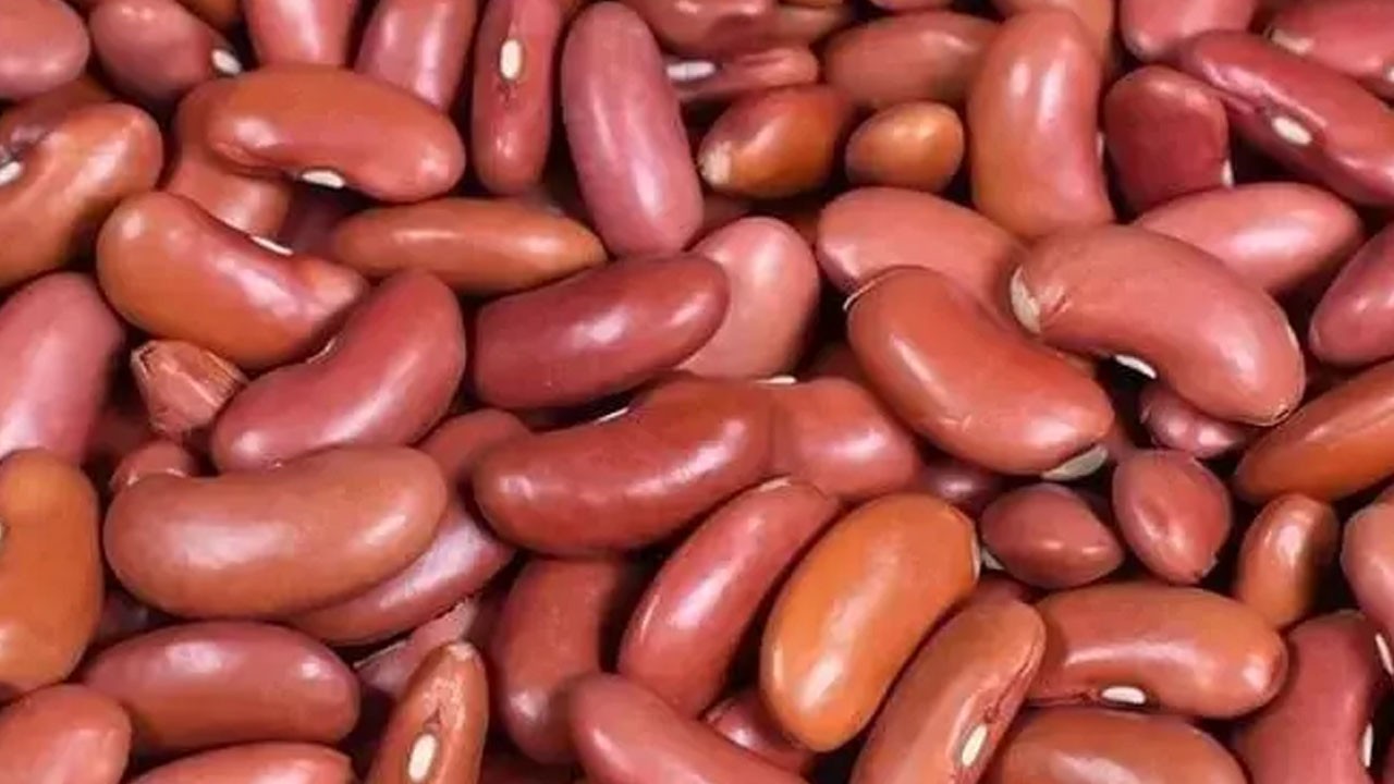 Kalbi koruyup bağırsakları motor gibi çalıştırıyor, kanserden koruyor kimse bilmiyor