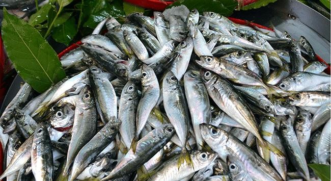 Kalbinizi seviyorsanız haftada 2 gün bunu tüketin!